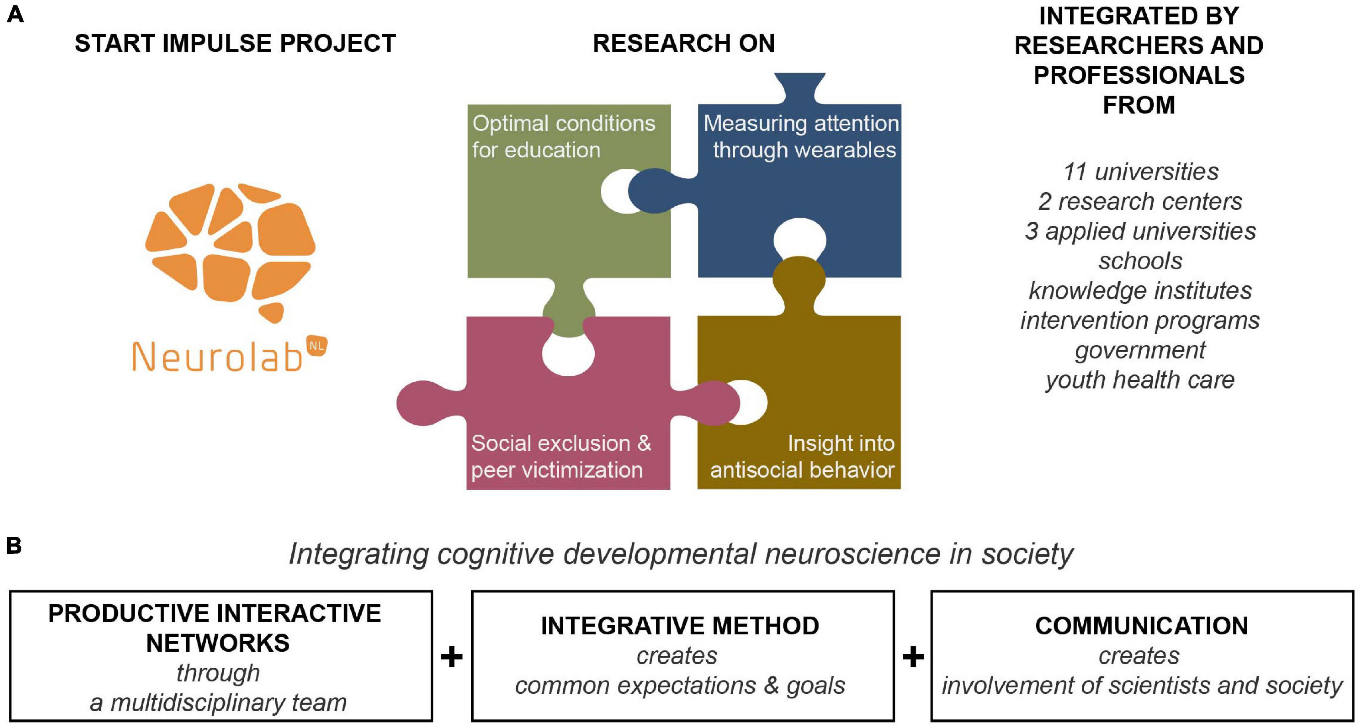 Modern cognitive training and brain development research visualization